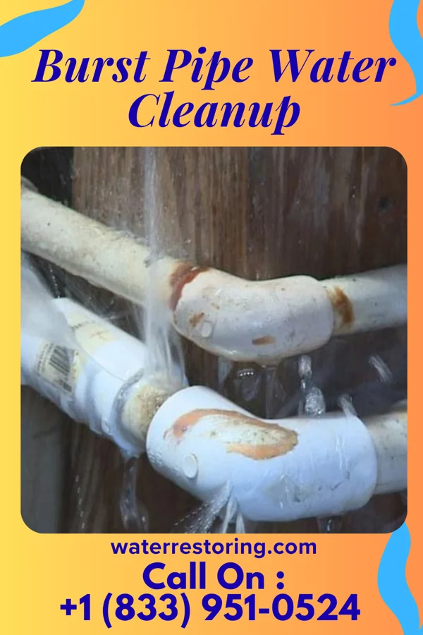Burst Pipe Water Cleanup in Richburg, SC