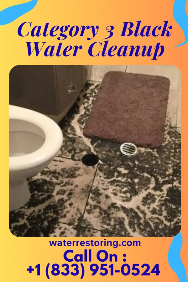 Category 3 Black Water Cleanup in Richburg, SC