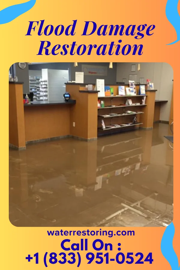 Flood Damage Restoration in Richburg, SC