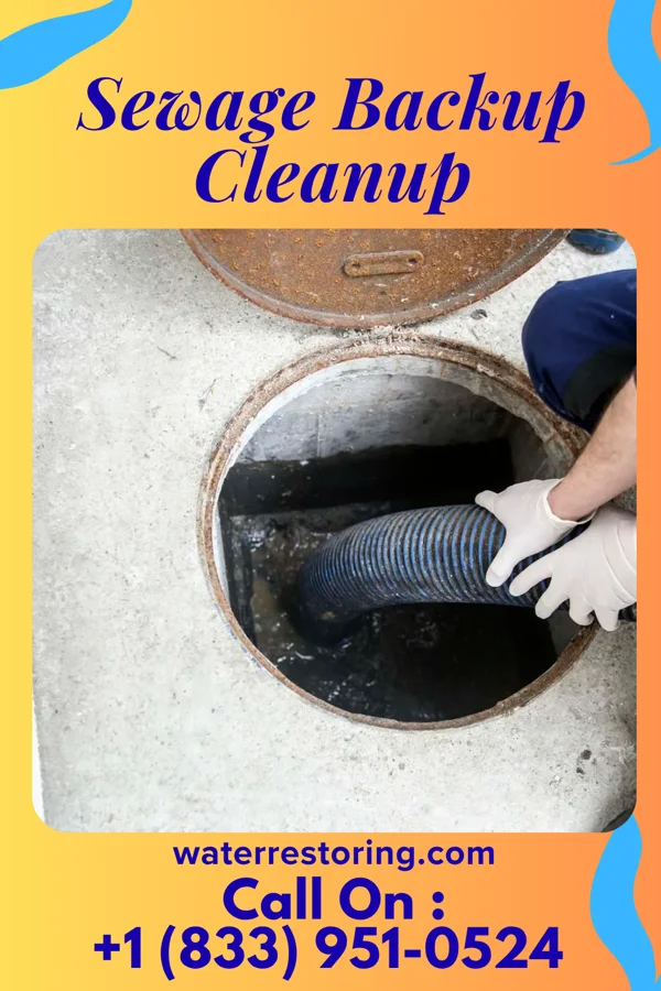 Sewage Backup Cleanup in Richburg, SC