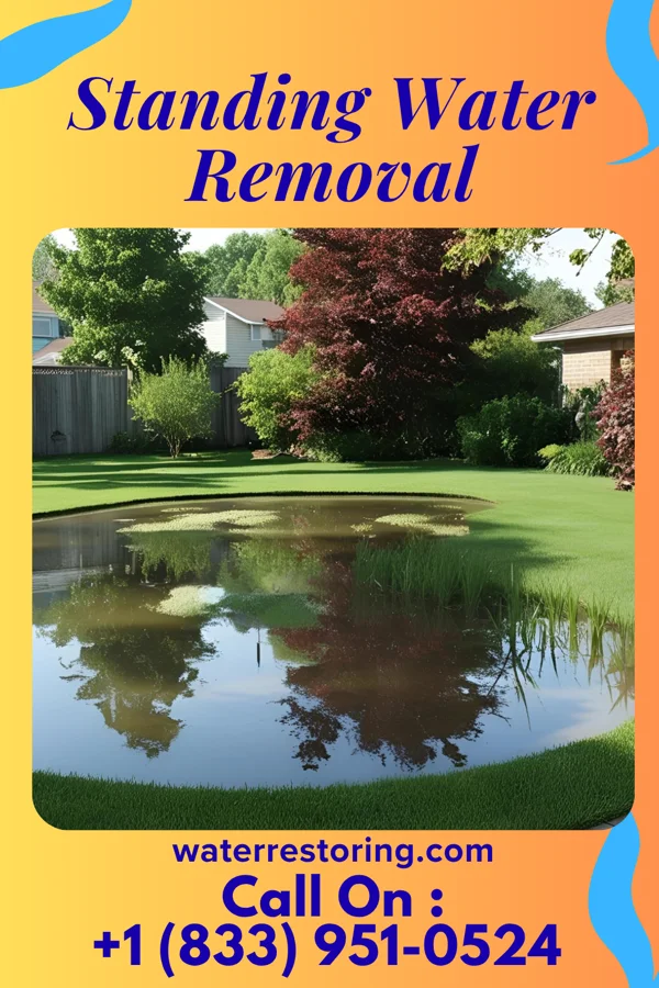 Standing Water Removal in Richburg, SC